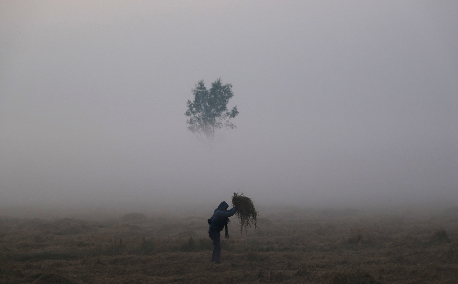 Weekly Winter Weather Update