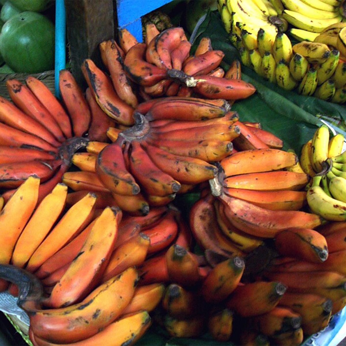 Red Banana photo 