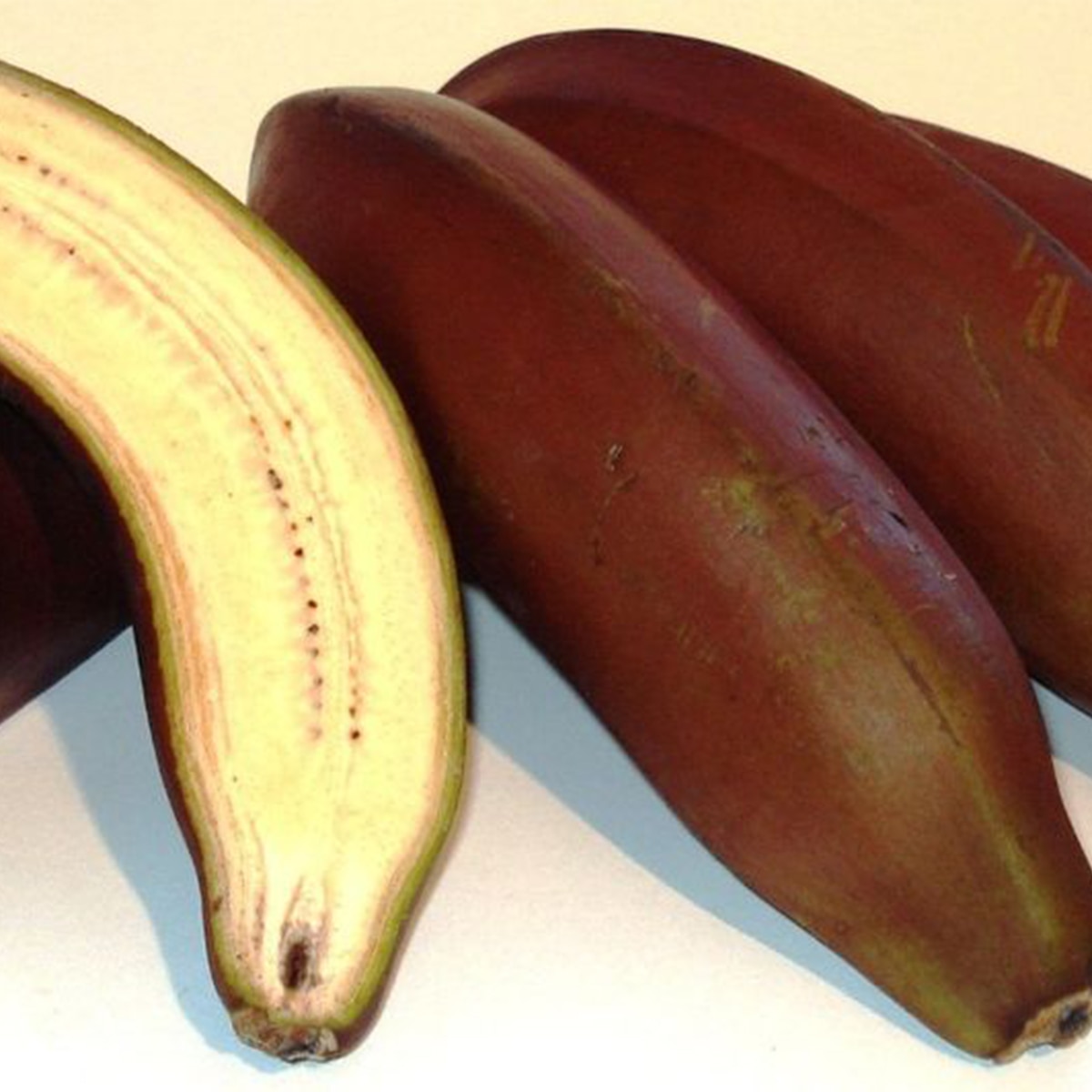 Red Banana 