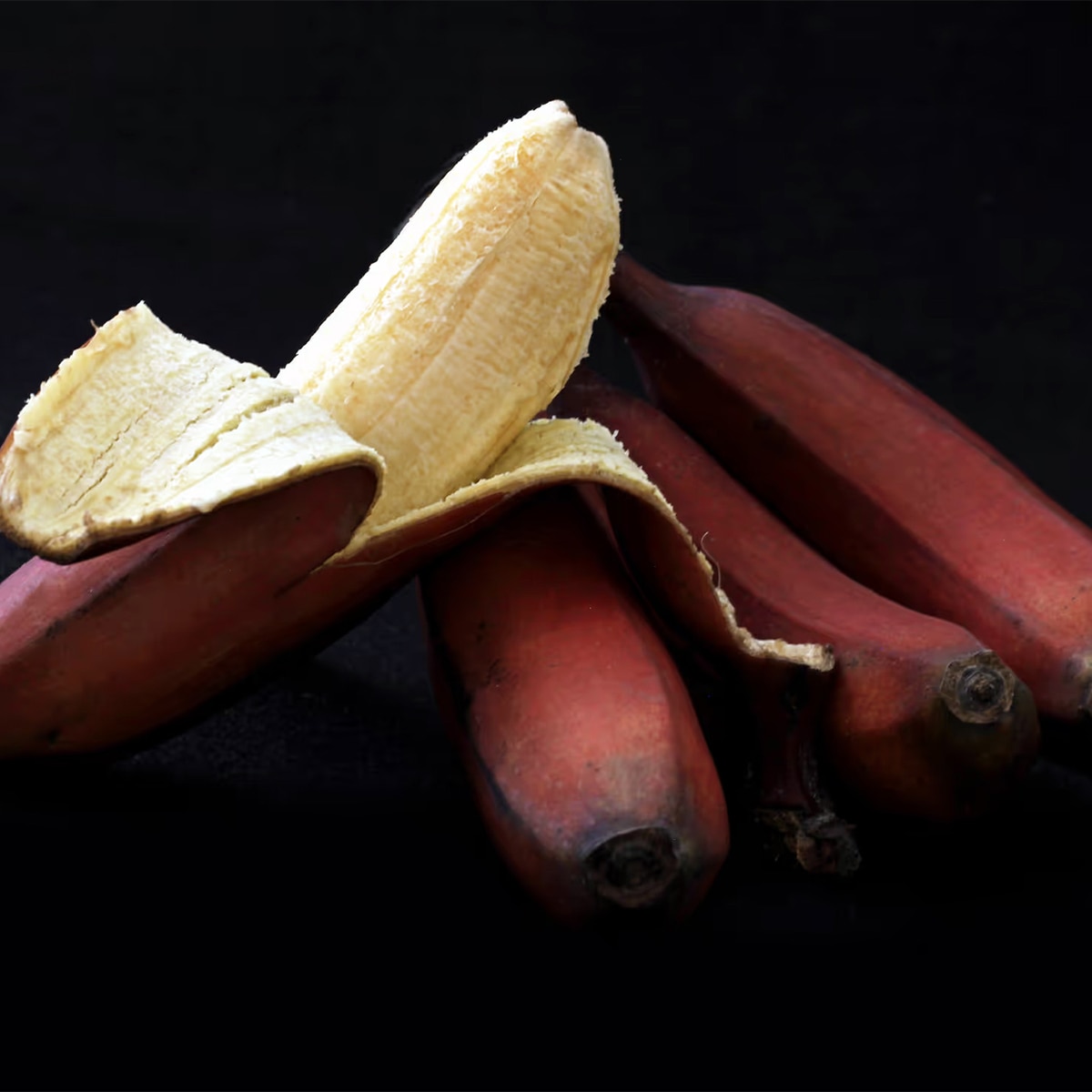 Red Bananas 
