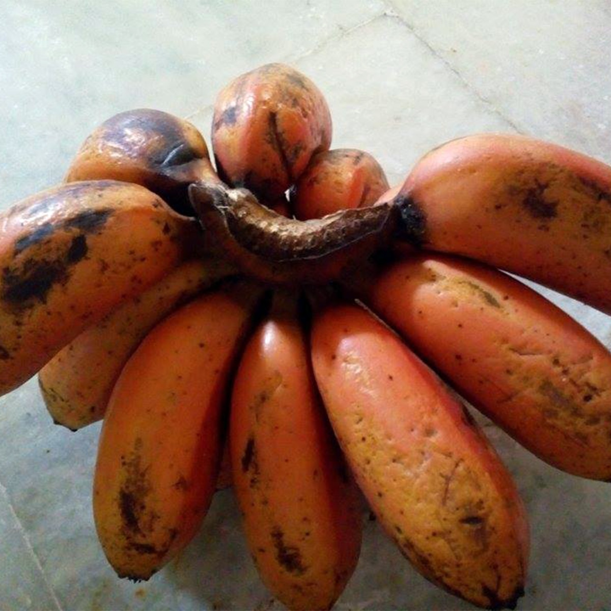Red Banana market 