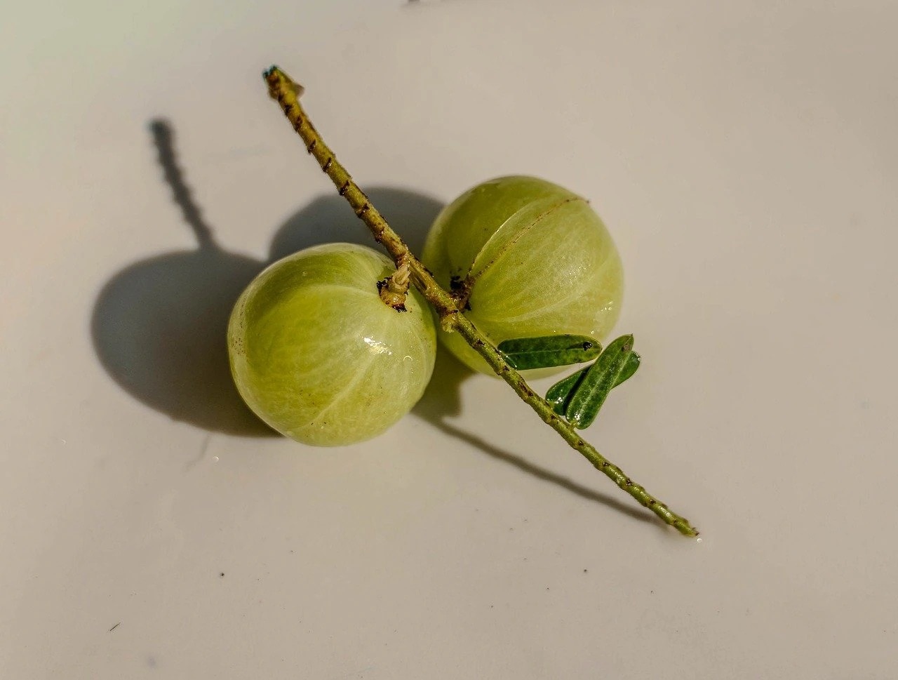 People Who Should Never Eat Amla People Who Should Never Eat Amla