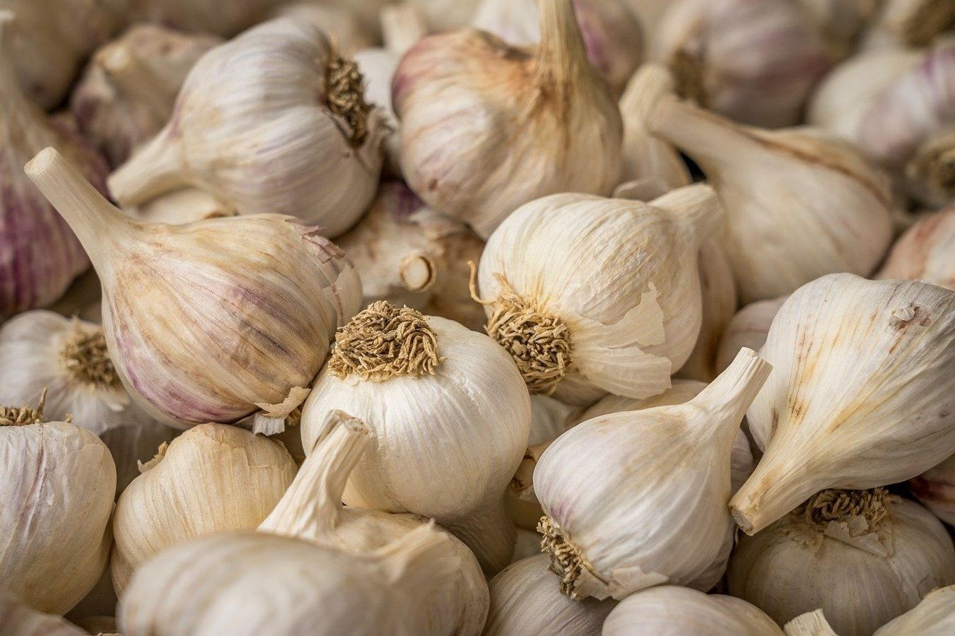  ১৫ মিনিট 