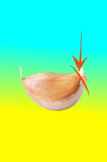  রসুনের খোসা 