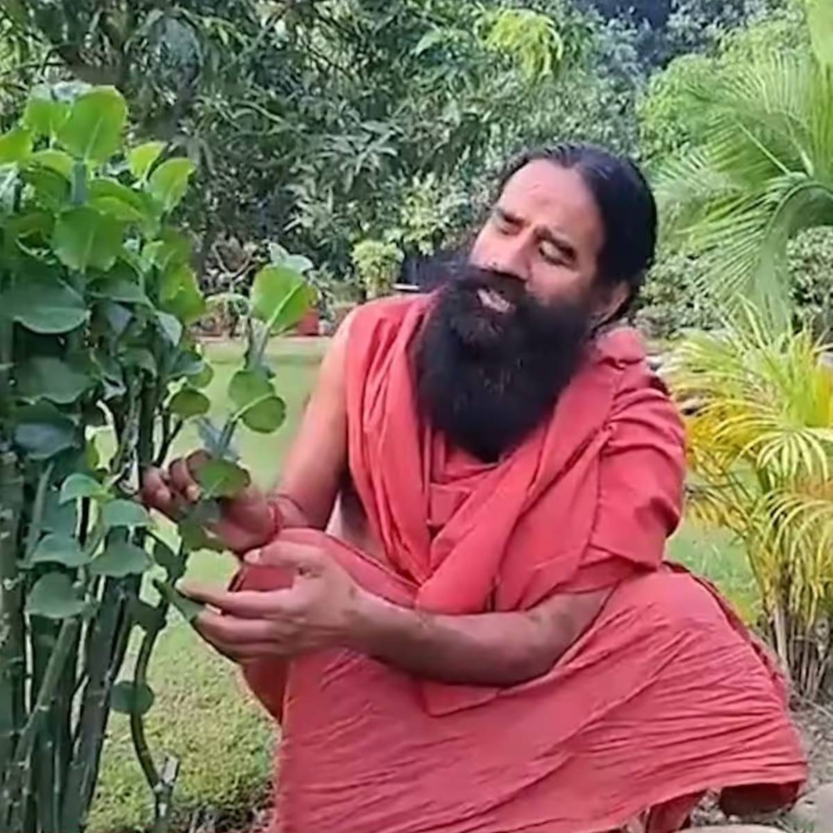 বাবা রামদেব আরেকটি ঐতিহ্যবাহী প্রতিকারের কথা উল্লেখ করে বলেন, যদি এক কাপ ঠান্ডা দুধে সামান্য লেবু ছেঁকে খাওয়া হয়, তাহলে এটি পাইলস থেকেও মুক্তি পেতে পারে।