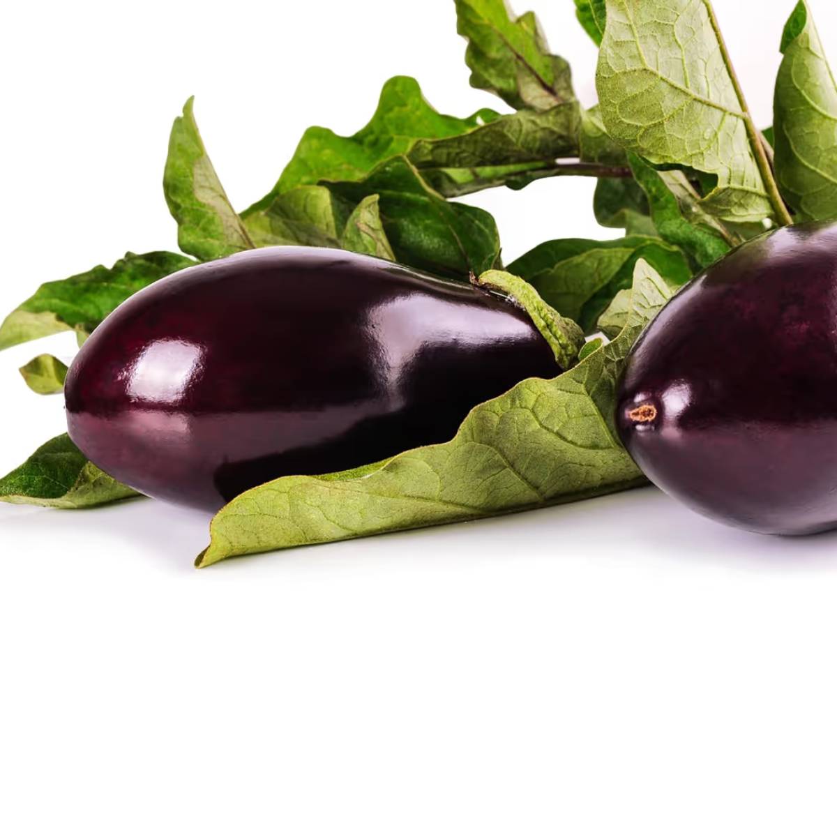 বেগুনের ফুল ২০-৩০ ডিগ্রি সেলসিয়াস তাপমাত্রায় সবচেয়ে ভালো হয়। খুব ঠান্ডা বা খুব গরম আবহাওয়া ফুল ফোটার সম্ভাবনা কমিয়ে দেবে।