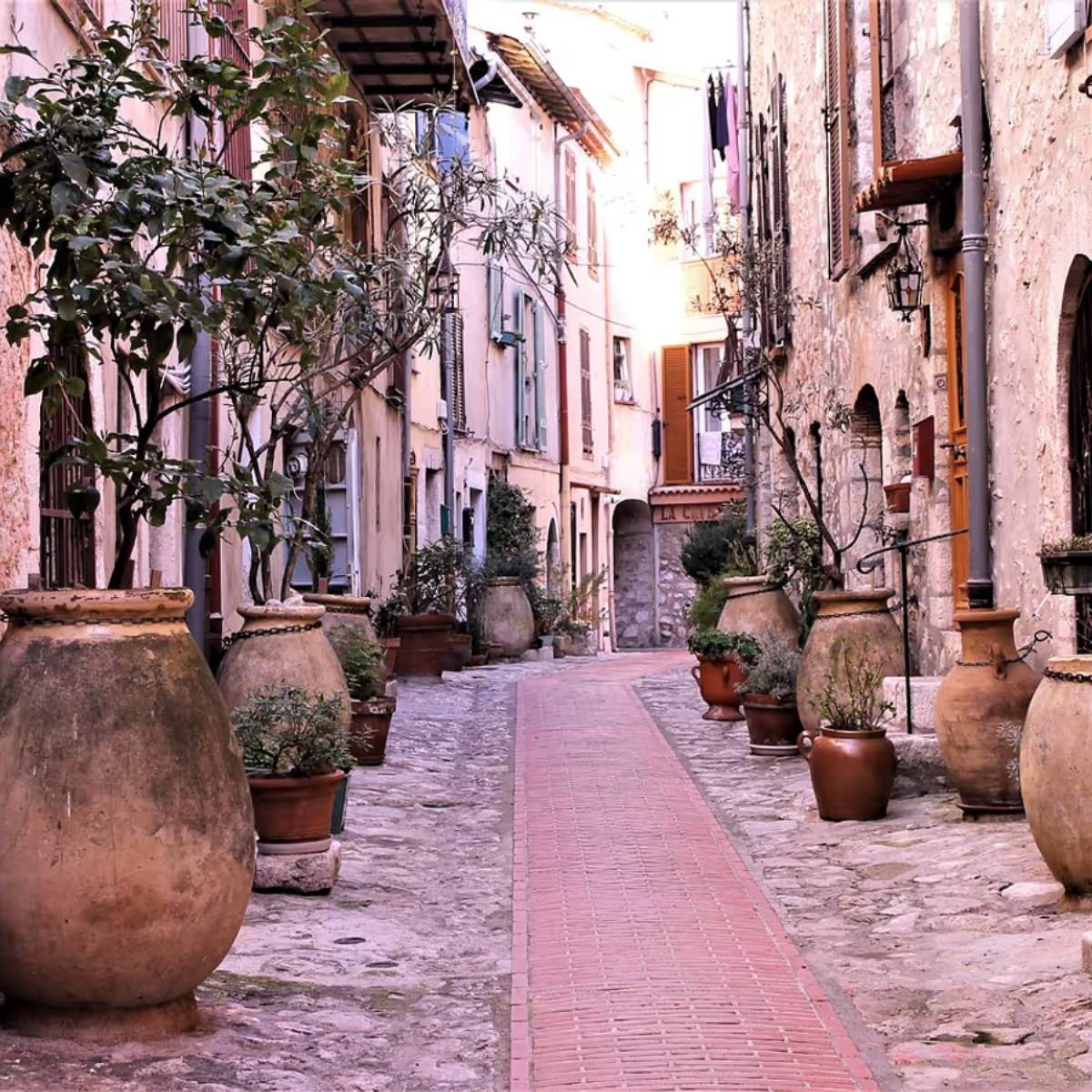 তারা তাপমাত্রার ওঠানামাও ভালোভাবে সামলাতে পারে। প্লাস্টিকের পাত্রগুলি হালকা এবং সস্তা। তারা তাপমাত্রার ওঠানামাও ভালোভাবে সামলাতে পারে। প্লাস্টিকের পাত্রগুলি হালকা এবং সস্তা।