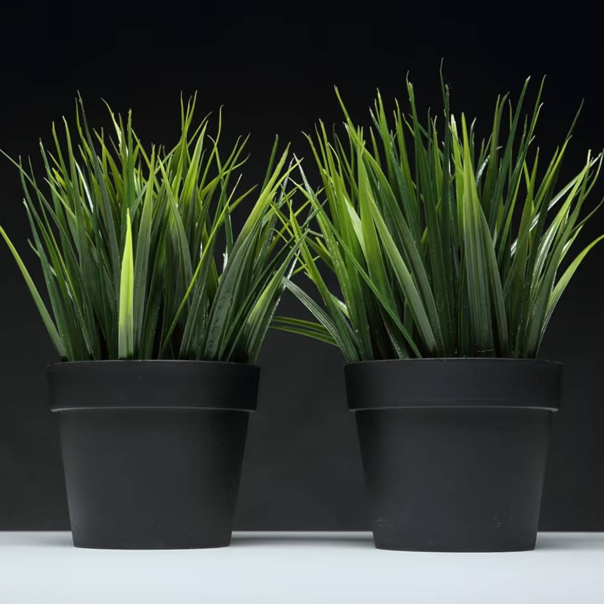 বাগান করার সময় প্রায়শই দেখা যায় যে প্লাস্টিকের পাত্রের চেয়ে মাটির পাত্রে গাছপালা ভালো জন্মে। বাগান করার সময় প্রায়শই দেখা যায় যে প্লাস্টিকের পাত্রের চেয়ে মাটির পাত্রে গাছপালা ভালো জন্মে।