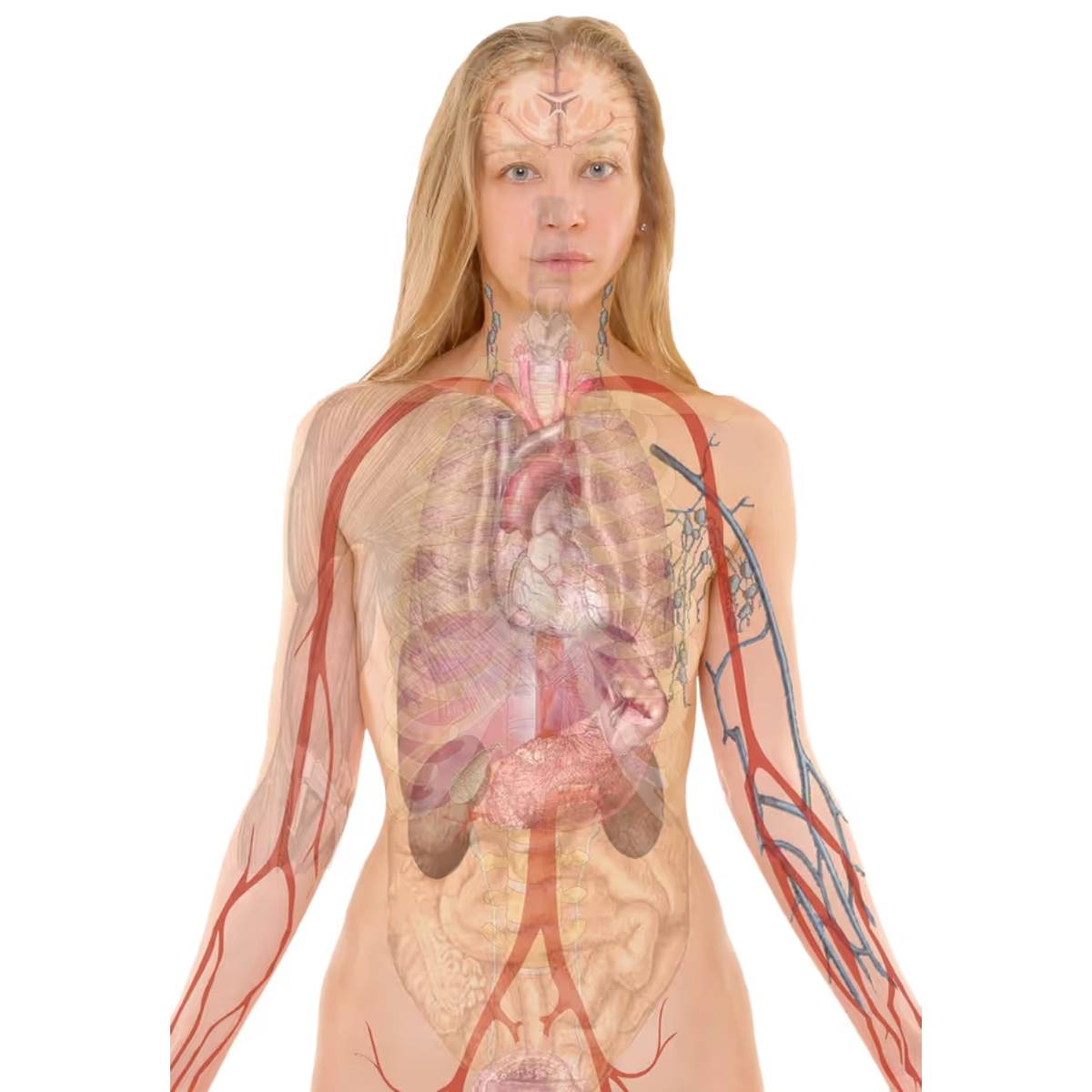 নিয়মিত প্রস্রাব এবং রক্ত পরীক্ষা প্রাথমিক পর্যায়ে কিডনির ক্ষতি সনাক্ত করতে পারে, এই পদক্ষেপটি দীর্ঘমেয়াদে আপনার কিডনিকে সুস্থ রাখে। নিয়মিত প্রস্রাব এবং রক্ত পরীক্ষা প্রাথমিক পর্যায়ে কিডনির ক্ষতি সনাক্ত করতে পারে, এই পদক্ষেপটি দীর্ঘমেয়াদে আপনার কিডনিকে সুস্থ রাখে।