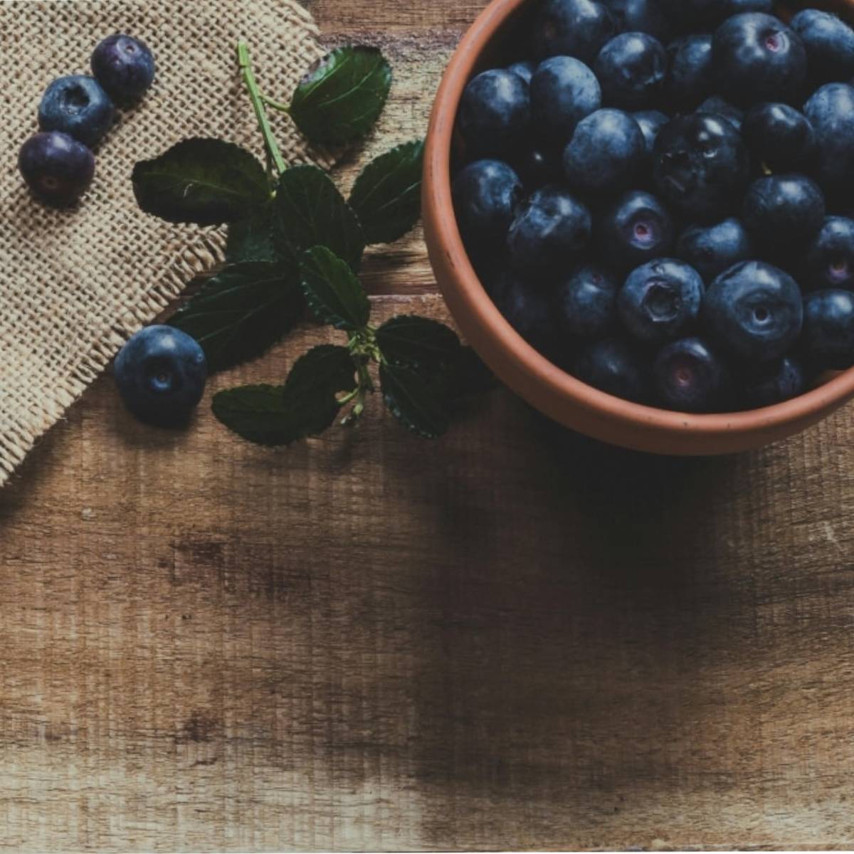 ব্লুবেরি