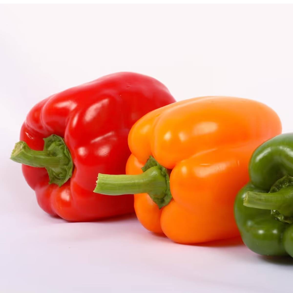 মাটির আর্দ্রতা বজায় রাখুন, ক্রমাগত ভেজা রাখবেন না। জল দেওয়ার আগে মাটির উপরের স্তরটি সামান্য শুকিয়ে যেতে দিন।