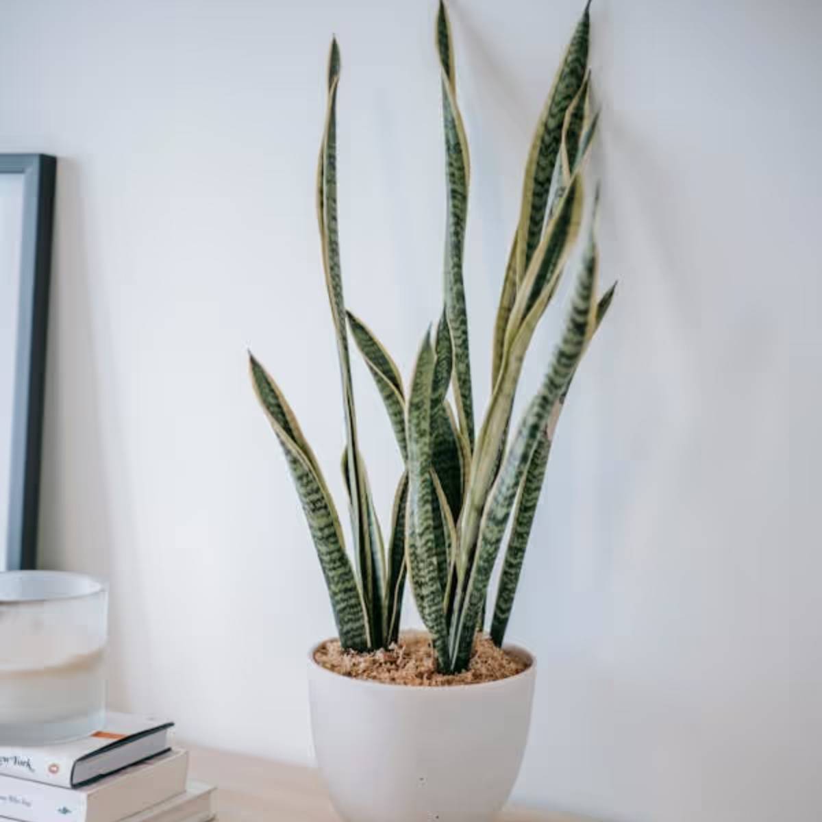 ভাত ফুটানোর অবশিষ্ট জল একটি পাত্রে সংগ্রহ করুন। যদি এটি ইতিমধ্যেই ফুটে থাকে, তাহলে ঠান্ডা হতে দিন। পরবর্তীতে ব্যবহারের জন্য এটি একটি বায়ুরোধী পাত্রে সংরক্ষণ করা যেতে পারে। ভাত ফুটানোর অবশিষ্ট জল একটি পাত্রে সংগ্রহ করুন। যদি এটি ইতিমধ্যেই ফুটে থাকে, তাহলে ঠান্ডা হতে দিন। পরবর্তীতে ব্যবহারের জন্য এটি একটি বায়ুরোধী পাত্রে সংরক্ষণ করা যেতে পারে।