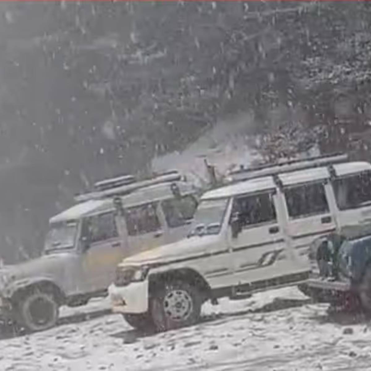 আবহাওয়া দফতরের পূর্বাভাস অনুযায়ী, উত্তরবঙ্গের পার্বত্য জেলা দাজিলিং ও কালিম্পং-এর পাশাপাশি আলিপুরদুয়ার জেলাতেও চলতি সপ্তাহে বৃষ্টির সম্ভাবনা রয়েছে। প্রবল ঠান্ডার সঙ্গে বৃষ্টি ও তুষারপাতের জেরে পাহাড়ি এলাকায় পর্যটকদের সতর্ক থাকার পরামর্শ দিয়েছে প্রশাসন।