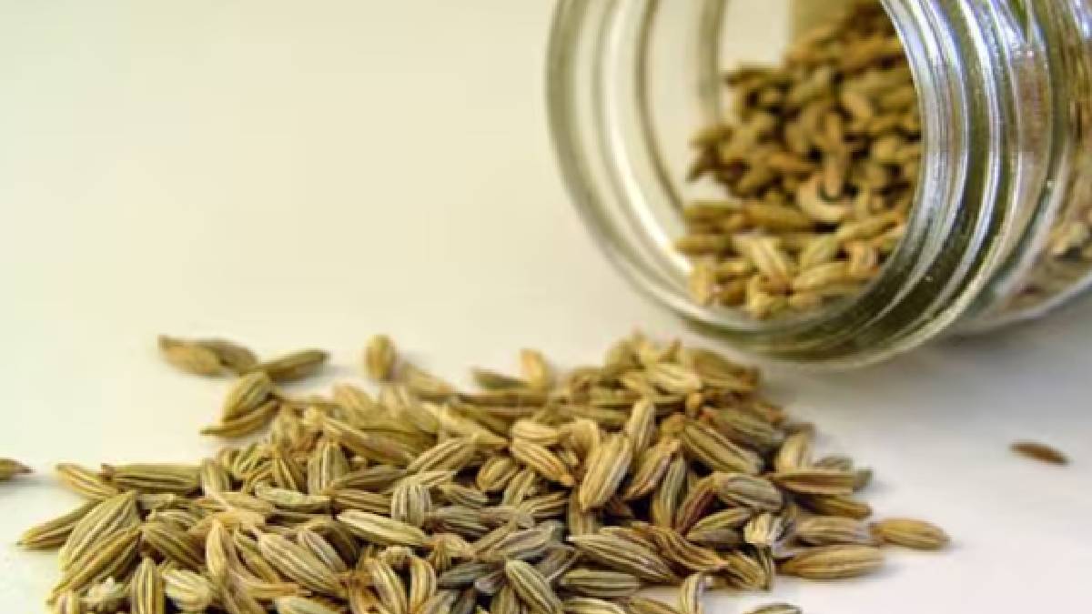 খেতে পারেন মৌরি খেতে পারেন মৌরি