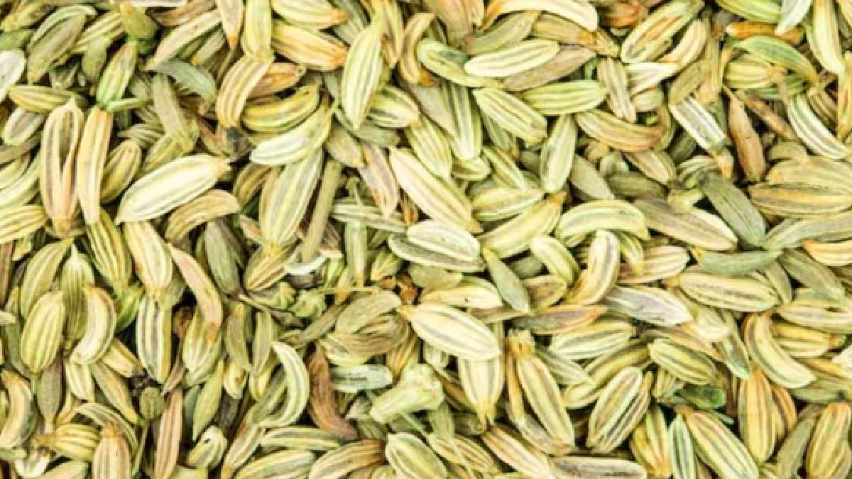 নিয়মিত খেতে পারেন মৌরি