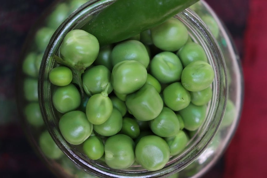 মটরশুঁটি খেলেই হু হু করে গলবে পেটের চর্বি, কমে যাবে ওজন মটরশুঁটি খেলেই হু হু করে গলবে পেটের চর্বি, কমে যাবে ওজন