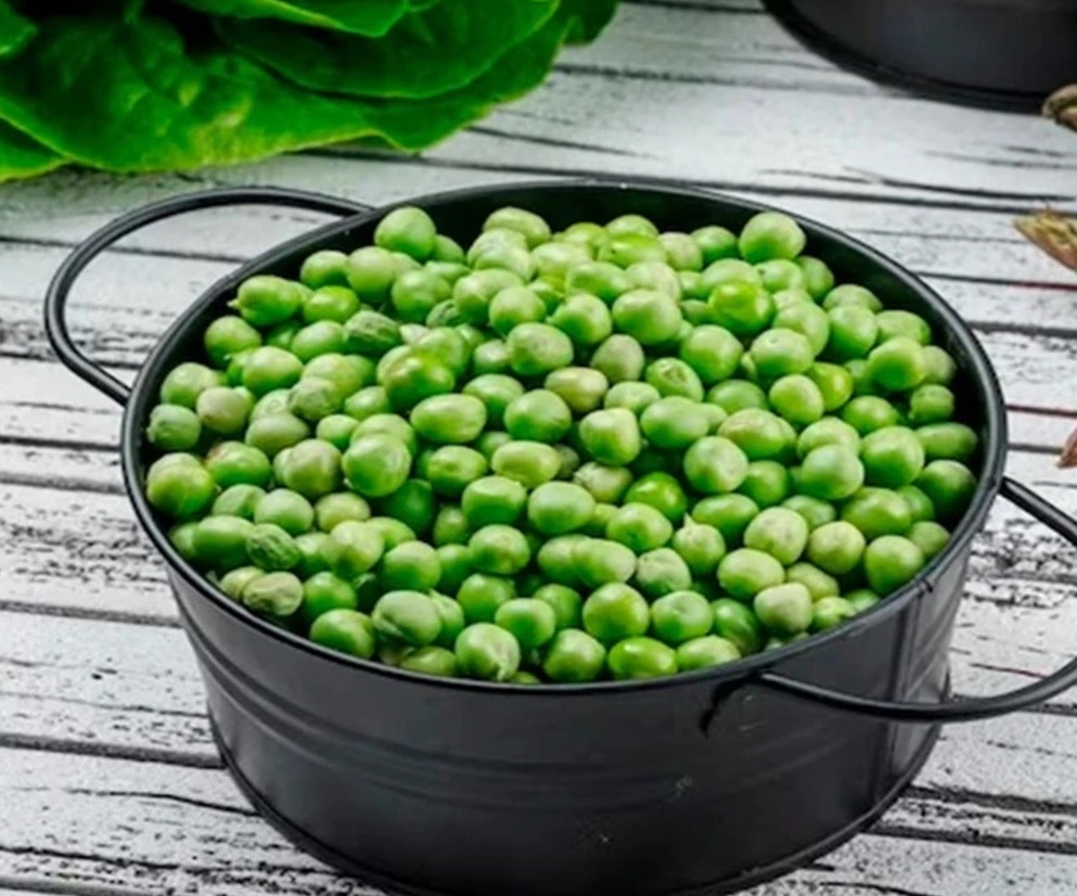 মটরশুঁটি খেলেই হু হু করে গলবে পেটের চর্বি, কমে যাবে ওজন মটরশুঁটি খেলেই হু হু করে গলবে পেটের চর্বি, কমে যাবে ওজন