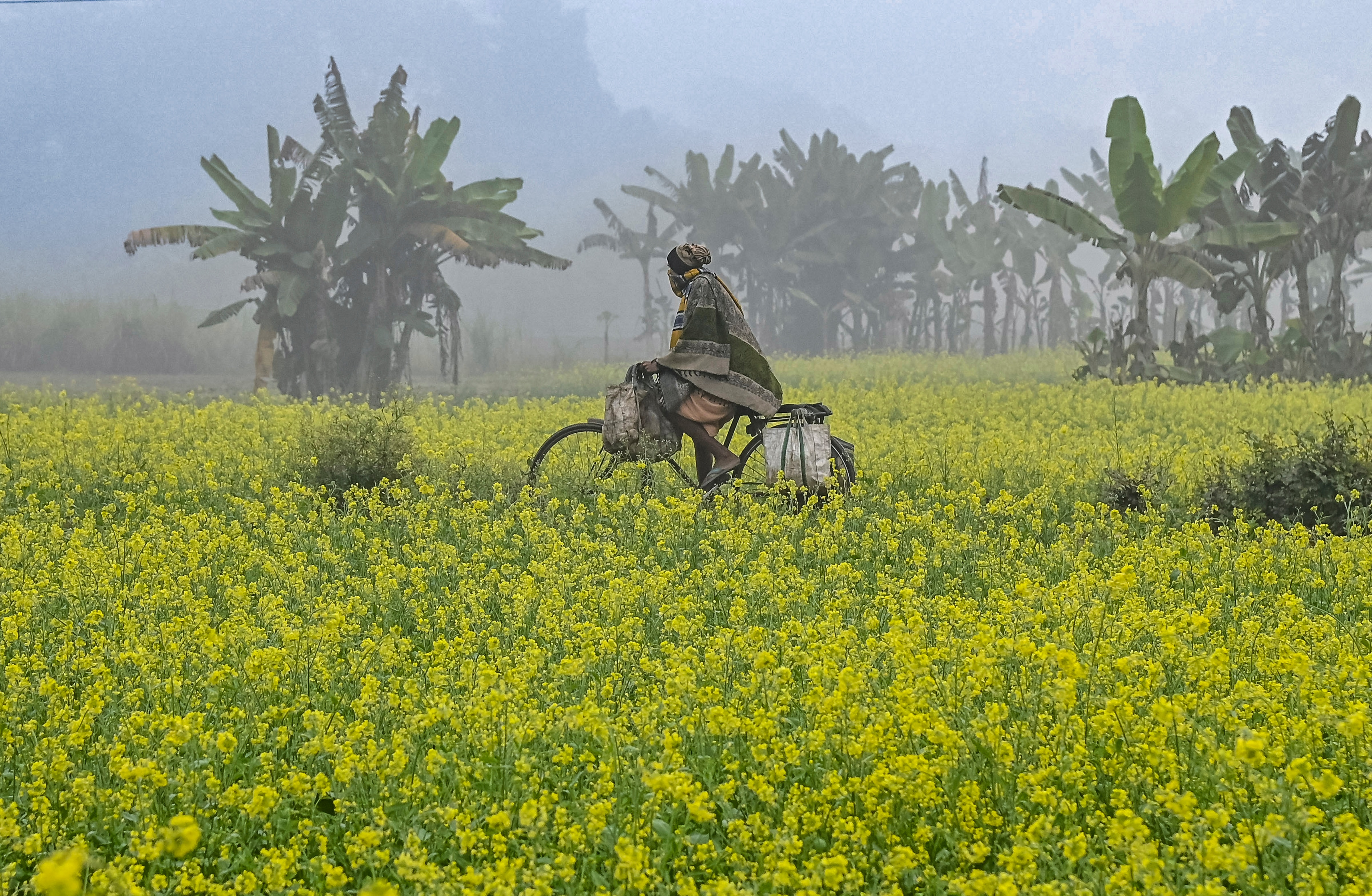 Weekly Winter Weather Update