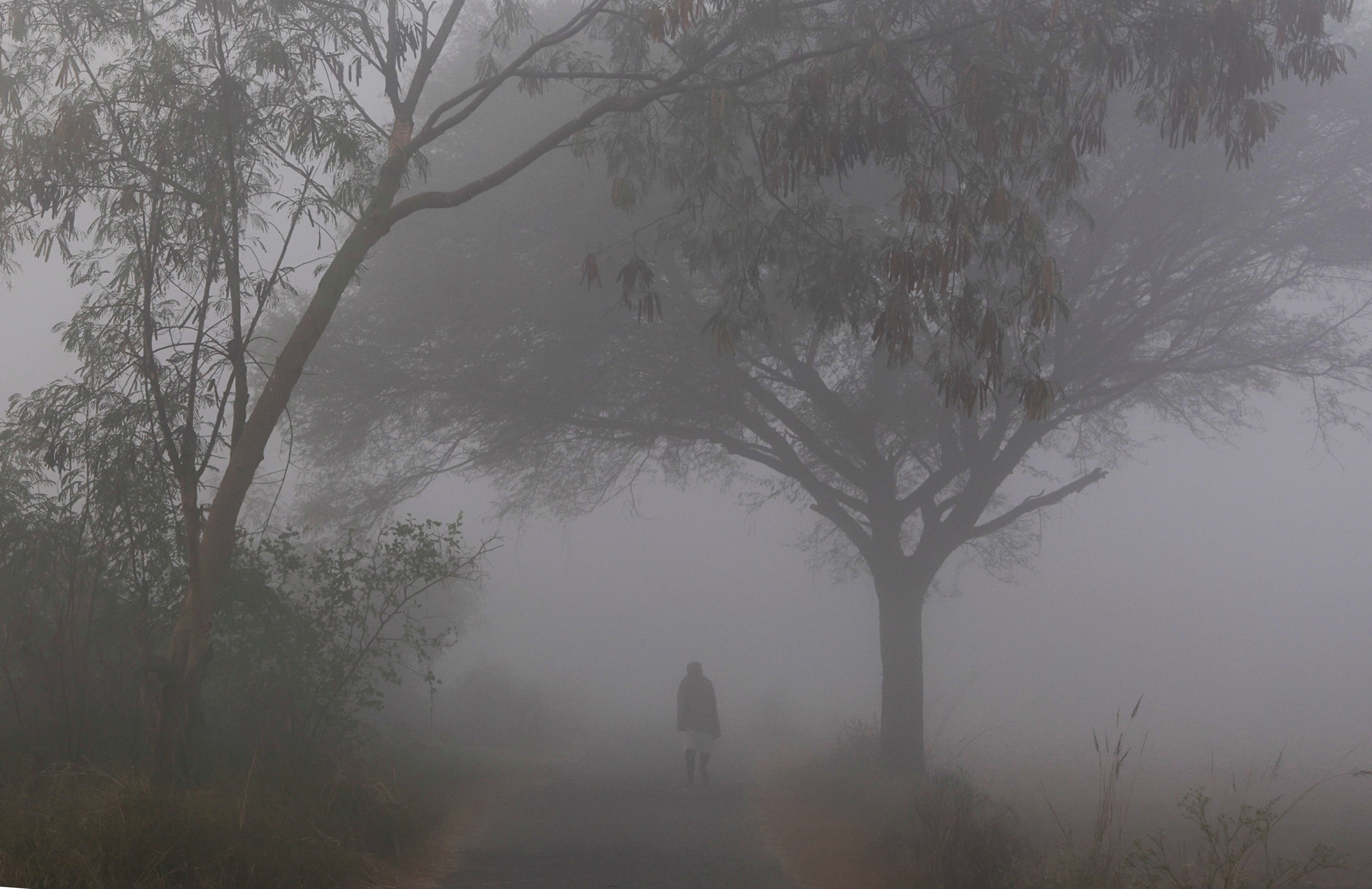 সর্বোচ্চ তাপমাত্রা রেকর্ড হয় ২৪.৭ ডিগ্রি সর্বোচ্চ তাপমাত্রা রেকর্ড হয় ২৪.৭ ডিগ্রি