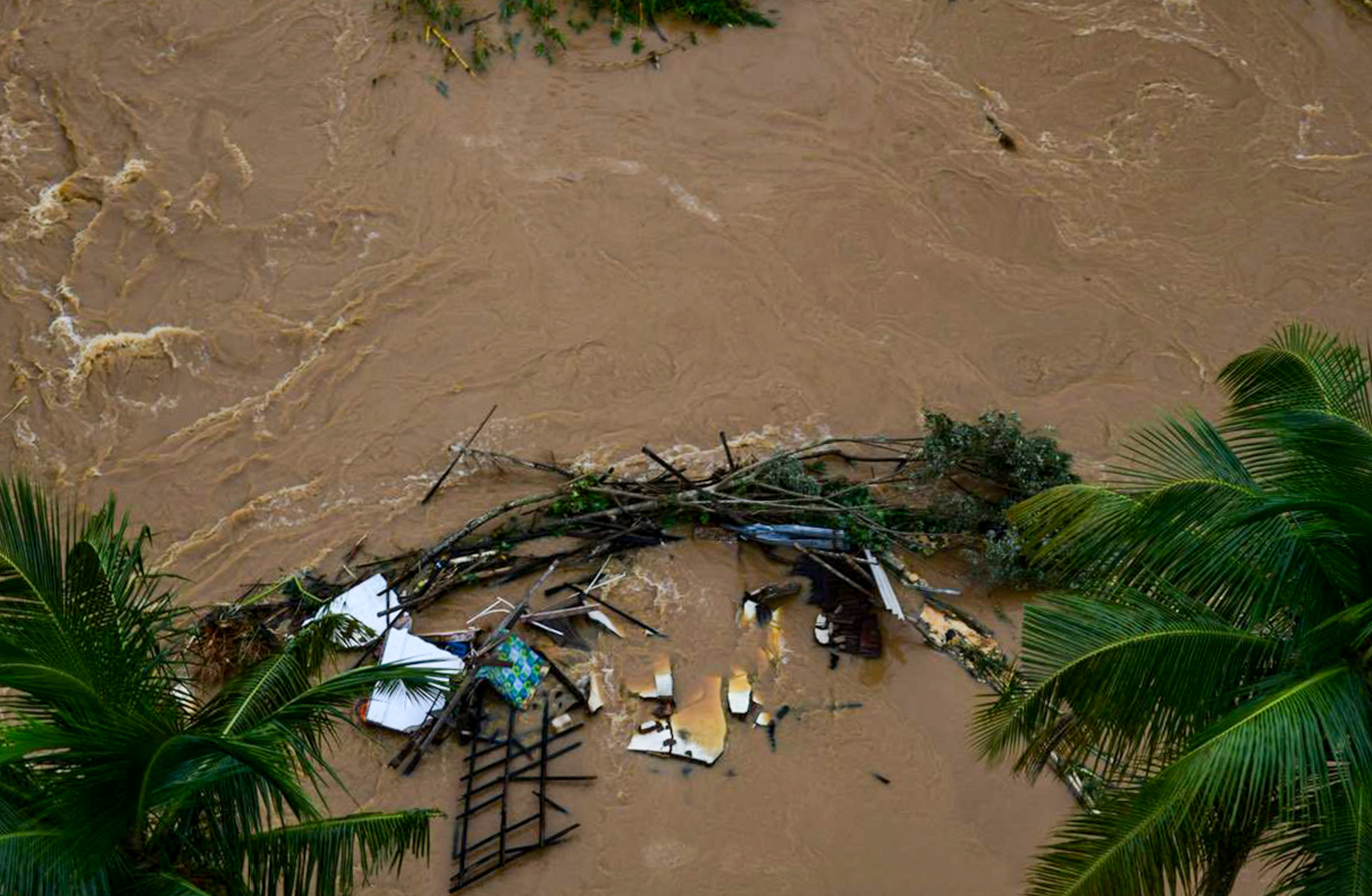 ৪০ জনে ৪০ জনে