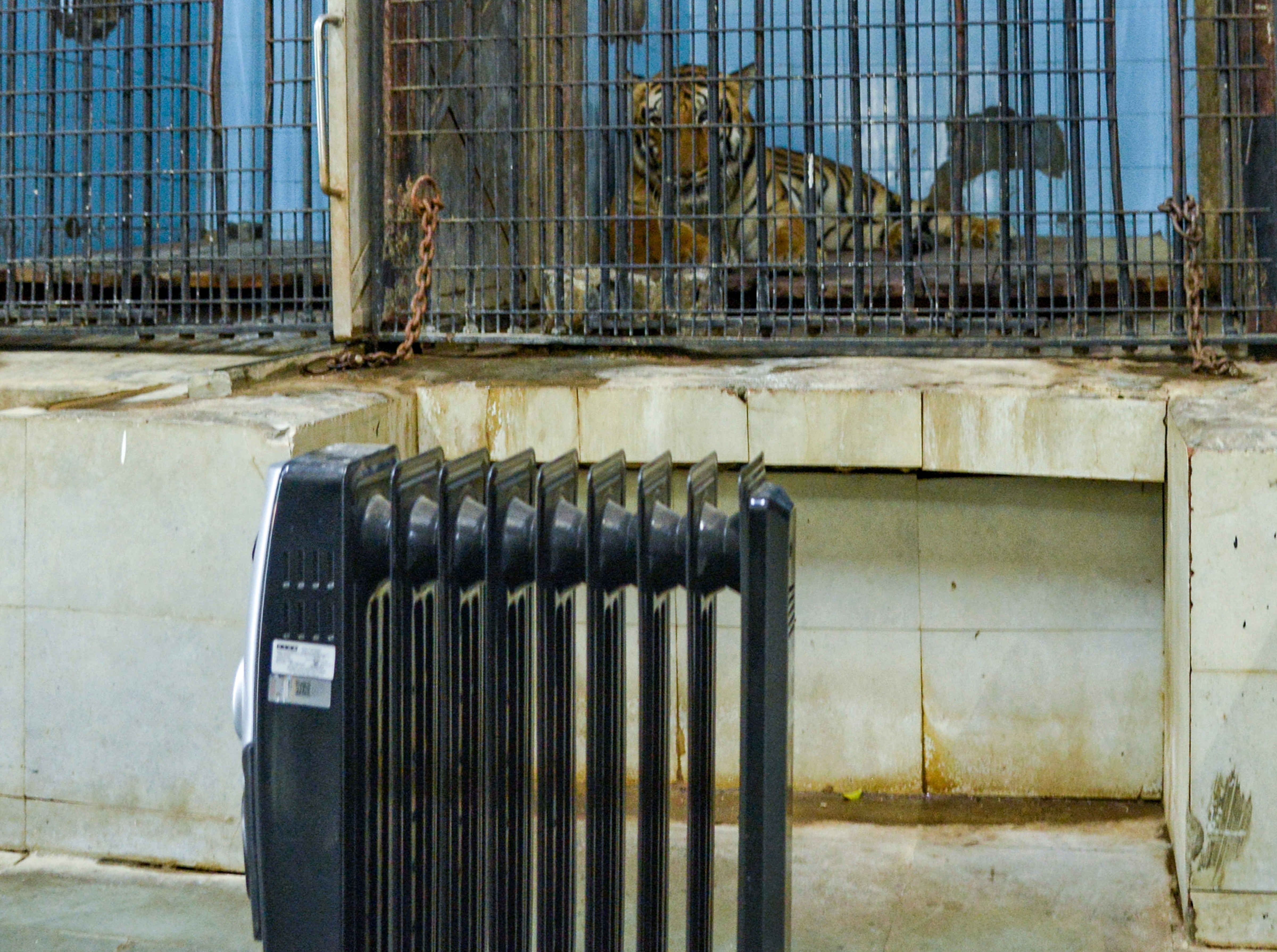 তাপমাত্রা নেমে যায় ৩.৫ ডিগ্রি তাপমাত্রা নেমে যায় ৩.৫ ডিগ্রি