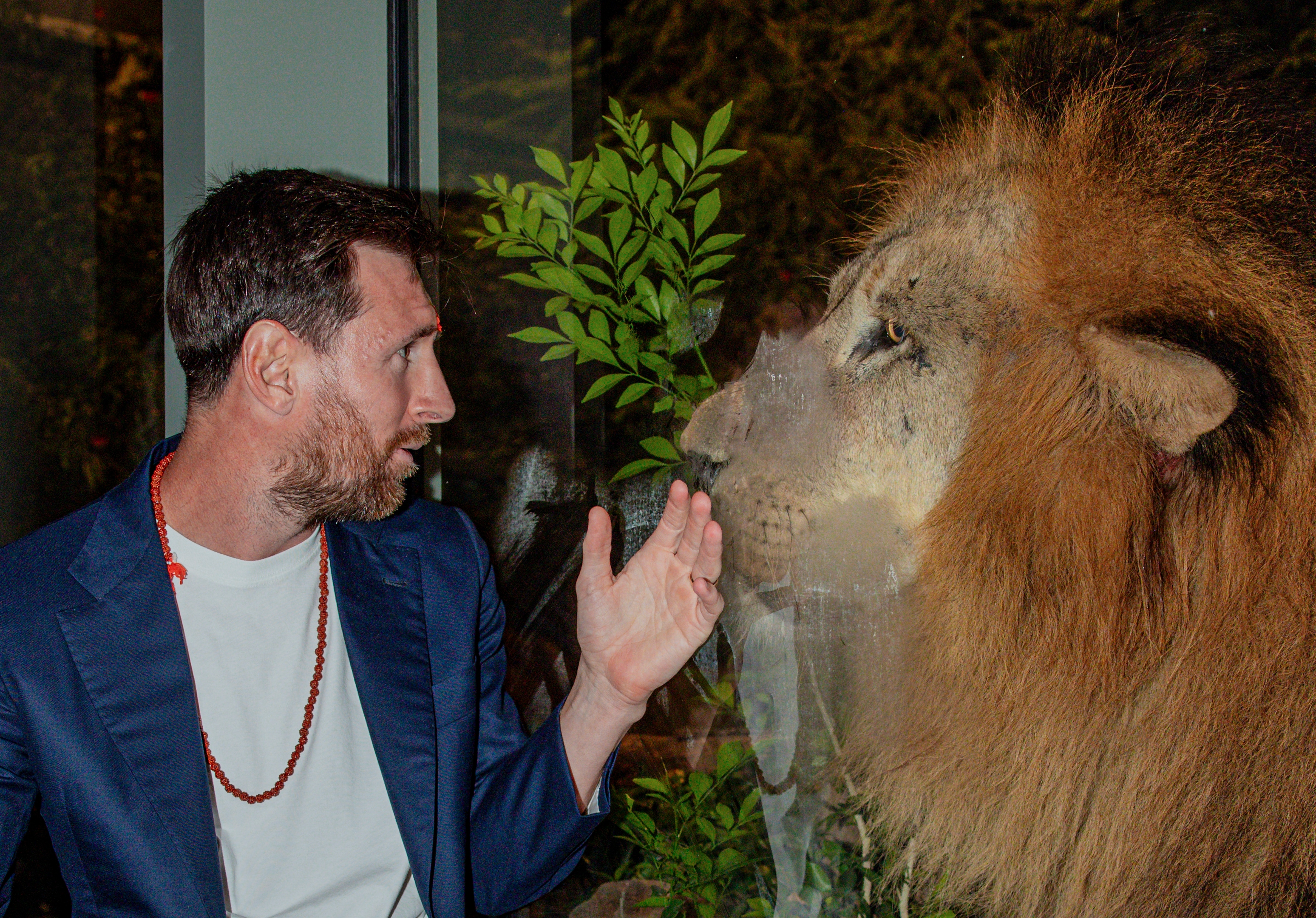 বনতারায় গিয়ে মুগ্ধ মেসি