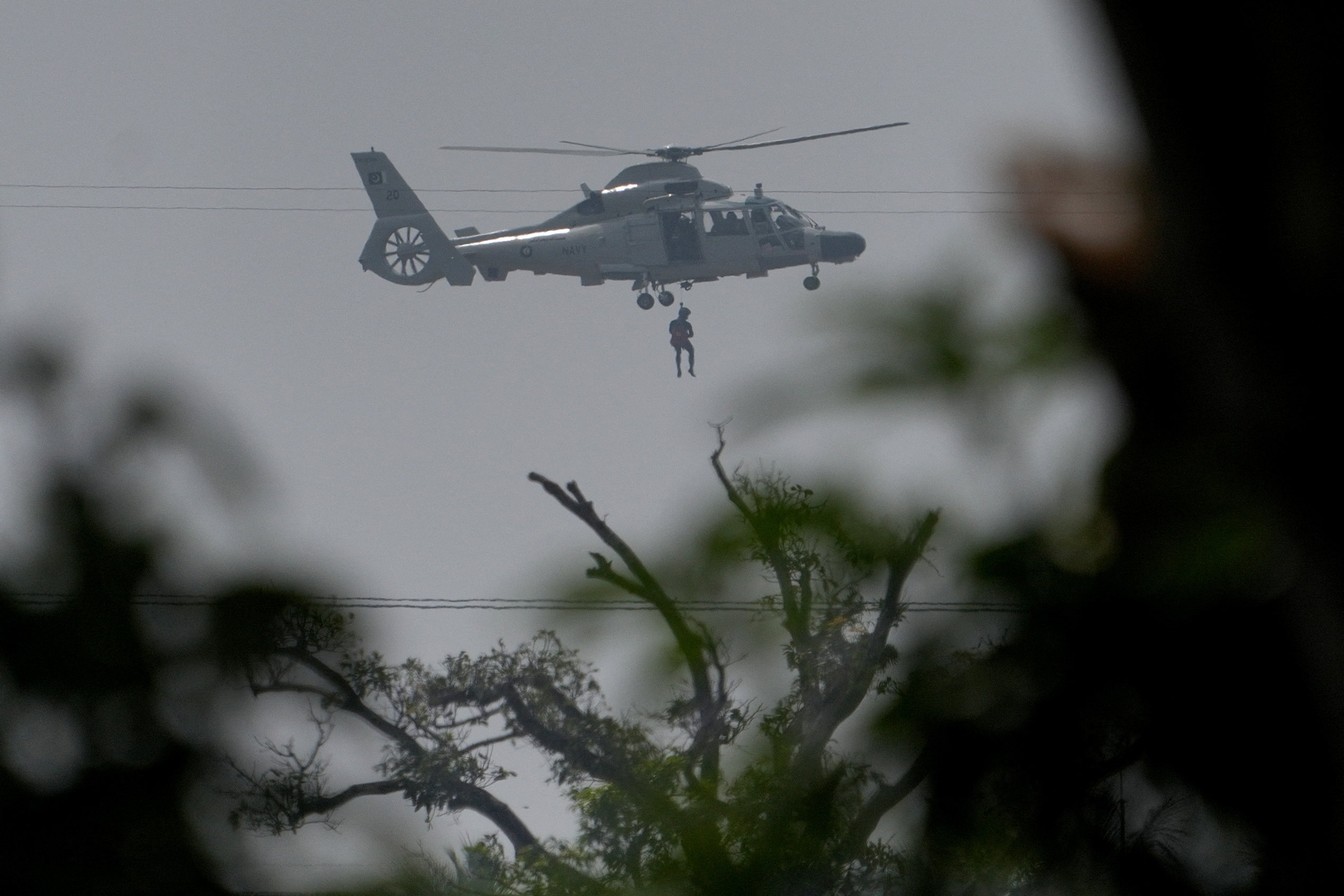 এলিয়া জেলাতেও এলিয়া জেলাতেও