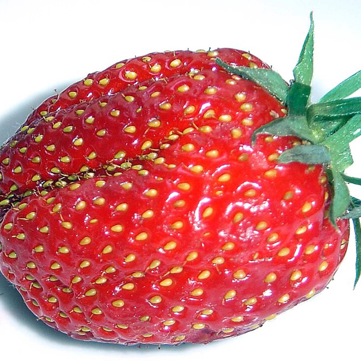 strawberry fruit strawberry fruit