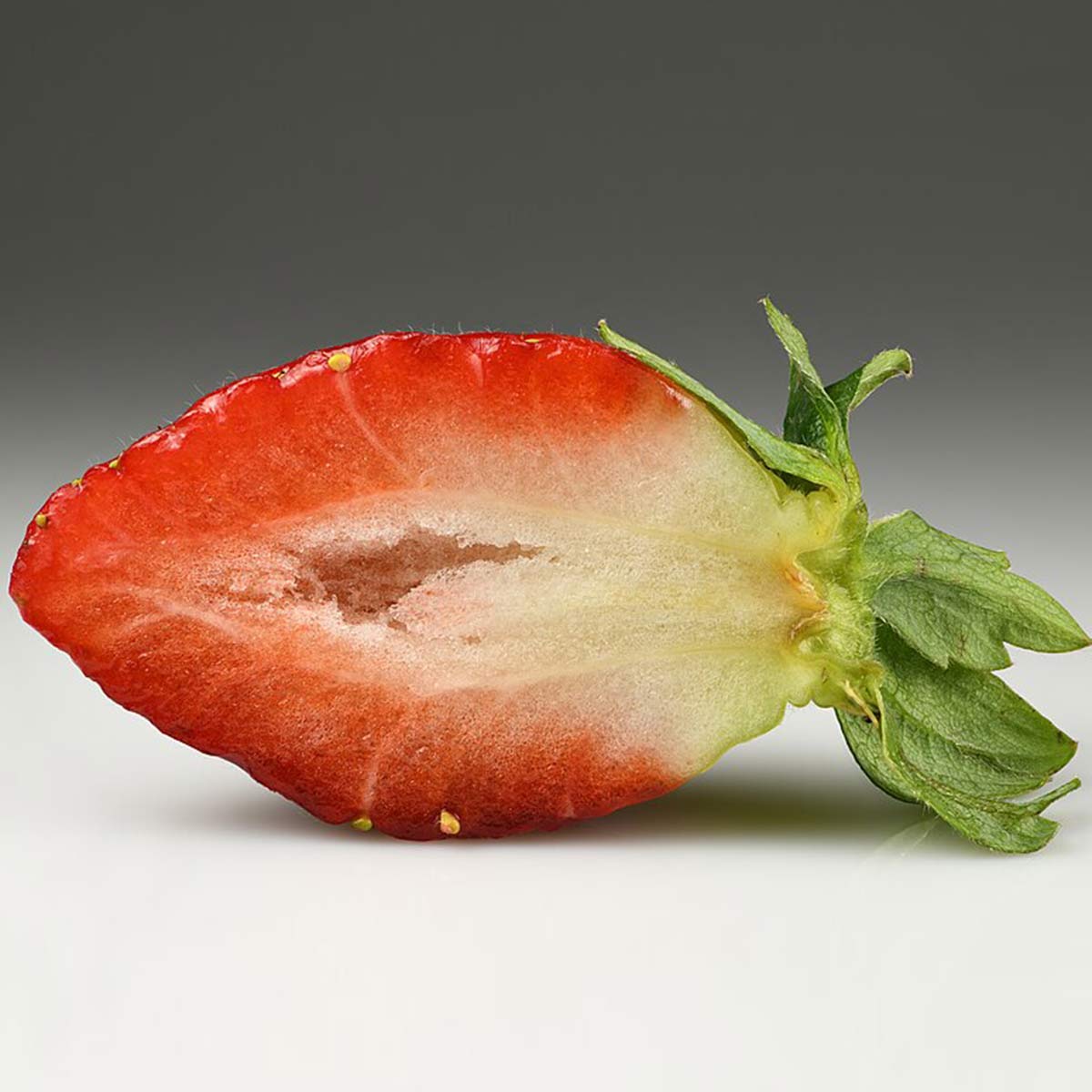 strawberry farming strawberry farming