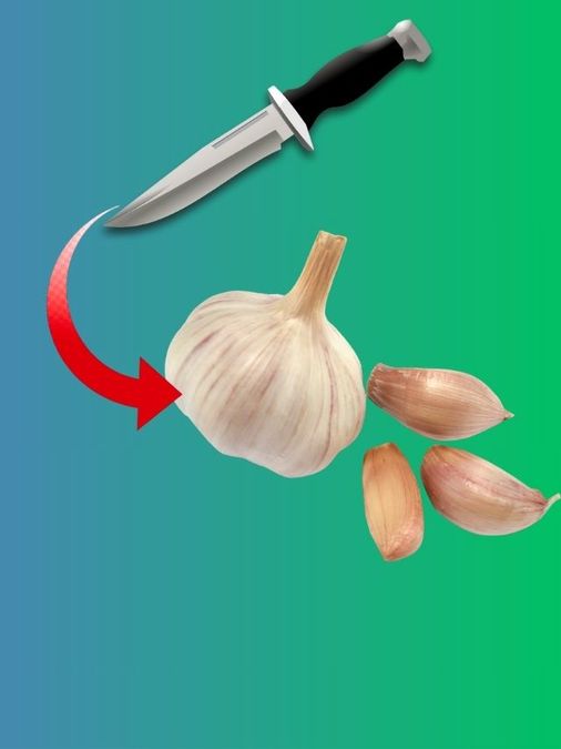  রসুনে সামান্য তেল 