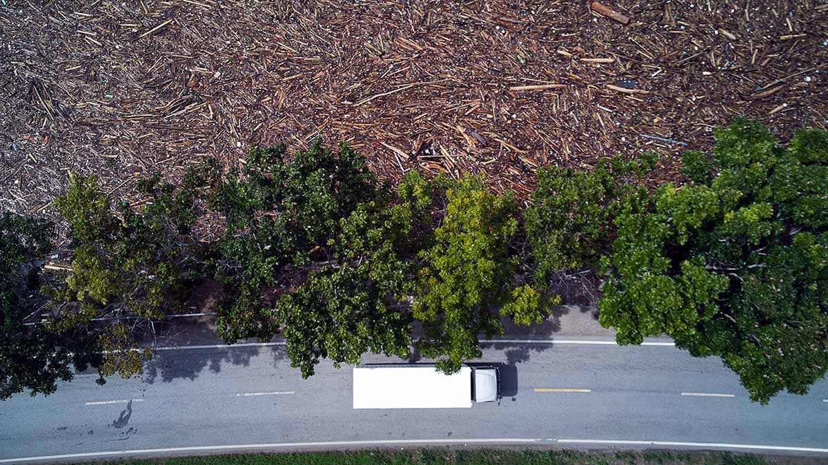 সুমাত্রা বিপর্যয় সুমাত্রা বিপর্যয়