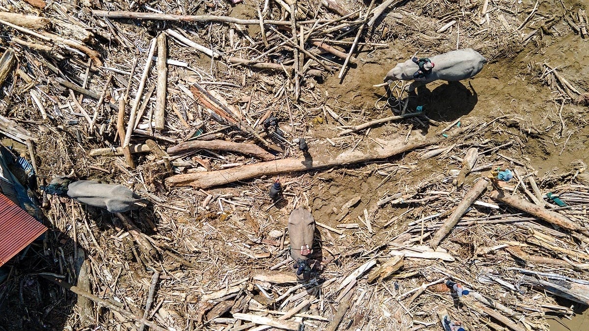 সুমাত্রা সুমাত্রা