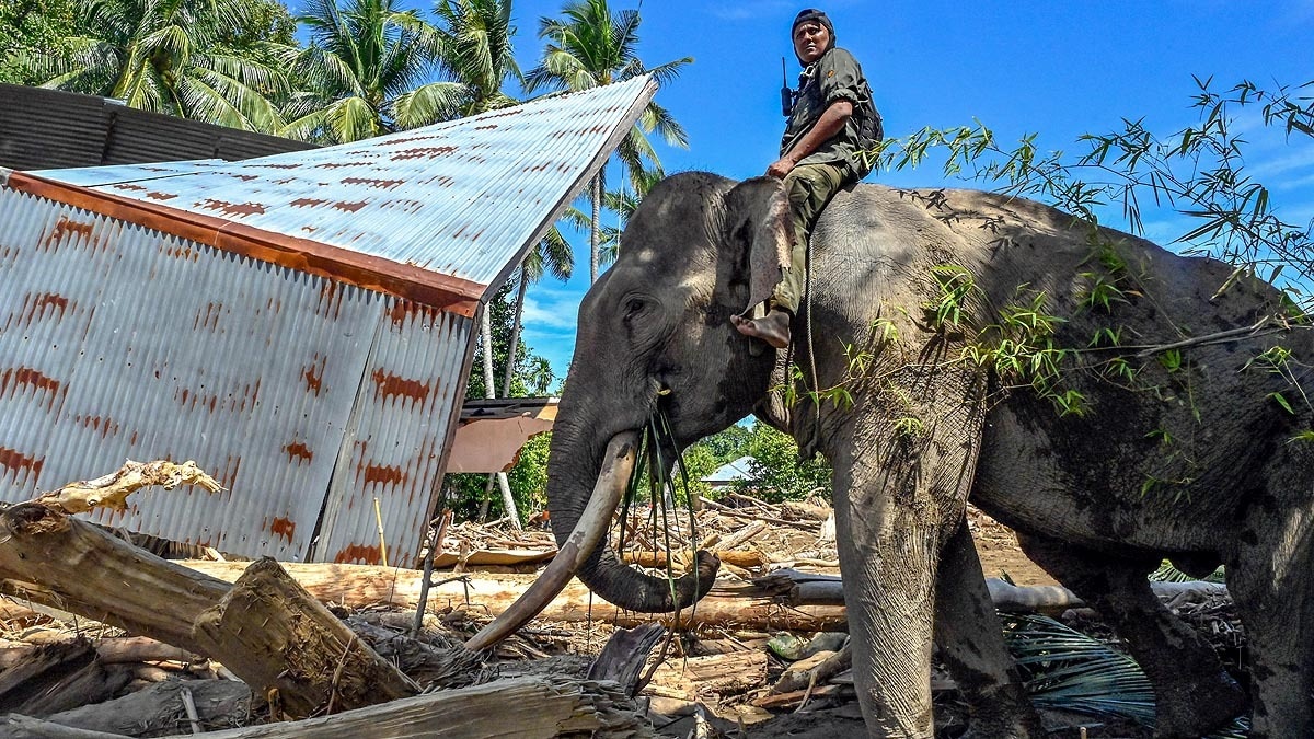 সুমাত্রা সুমাত্রা