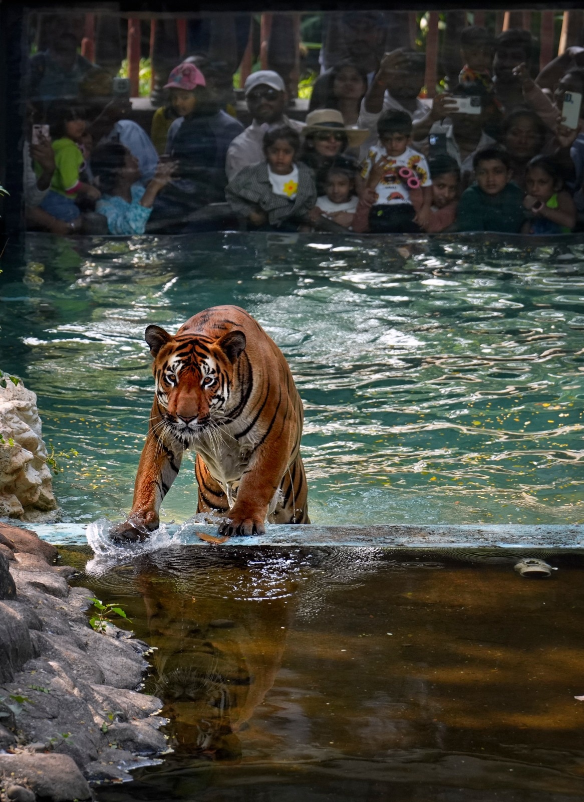 খোলা থাকার সময়