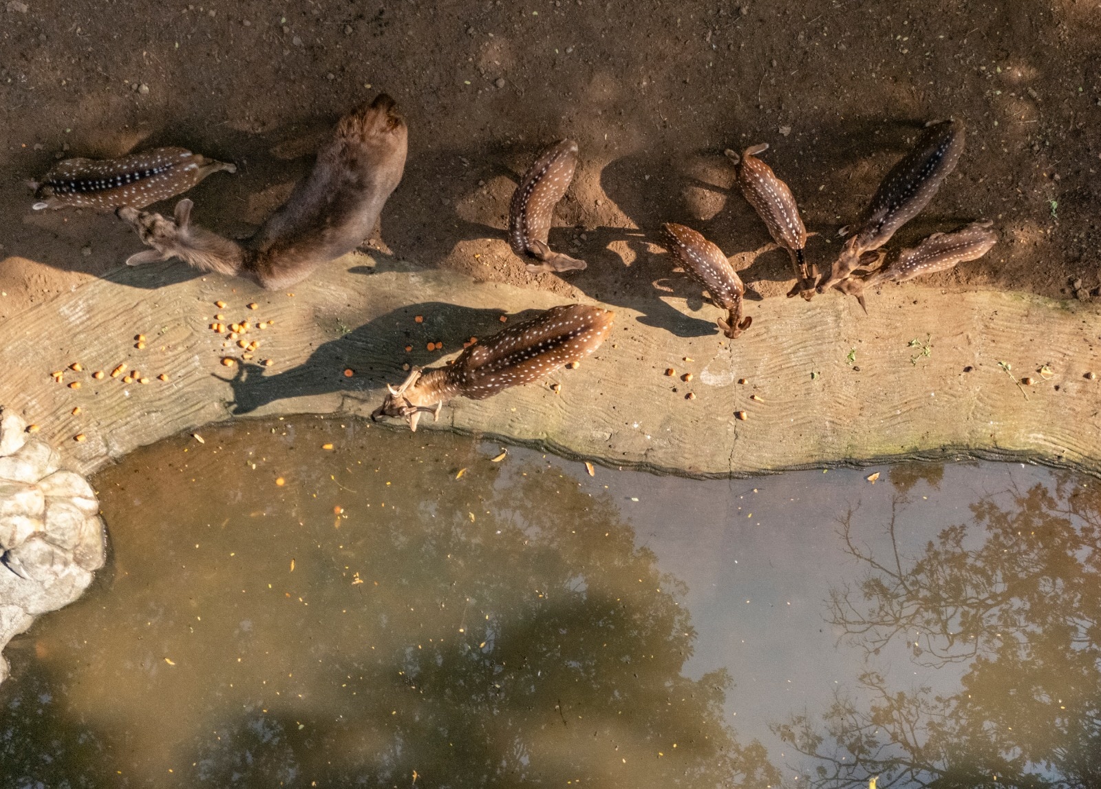 ট্যাক্সি ও লঞ্চ পরিষেবাও একই অ্যাপে