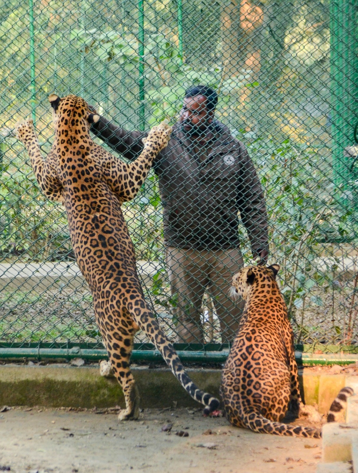 অনলাইনে টিকিট কাটবেন যেভাবে