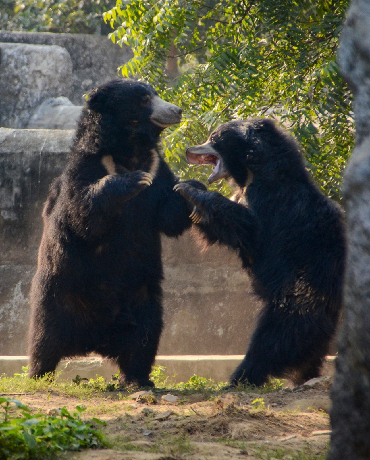 মেট্রোতে