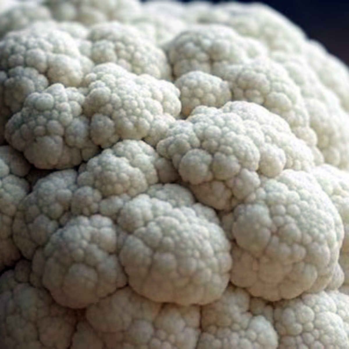 গোভি মুসল্লম গোভি মুসল্লম