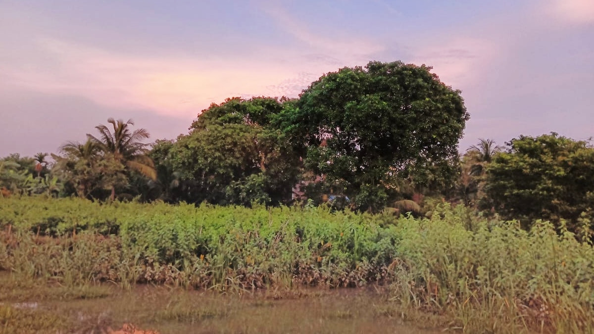 Weekend Tour Near Kolkata