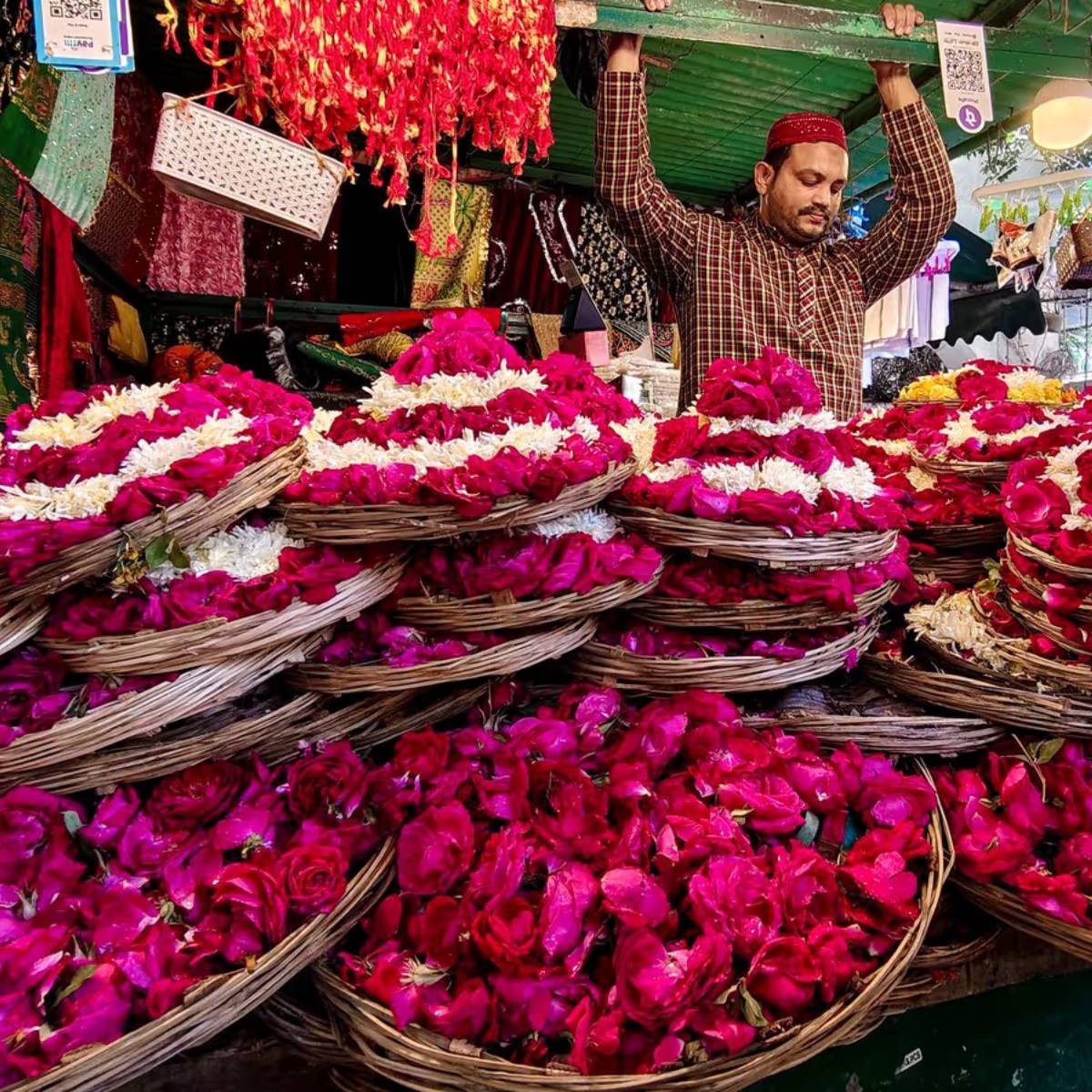 কৃষকরা যদি ছোট পরিসরে এই ফুল চাষ করেন, তাহলে তারা প্রায় ১৫ থেকে ২০ হাজার টাকা বিনিয়োগ করে ফুল চাষ শুরু করতে পারেন।কৃষকরা যদি ছোট পরিসরে এই ফুল চাষ করেন, তাহলে তারা প্রায় ১৫ থেকে ২০ হাজার টাকা বিনিয়োগ করে ফুল চাষ শুরু করতে পারেন।