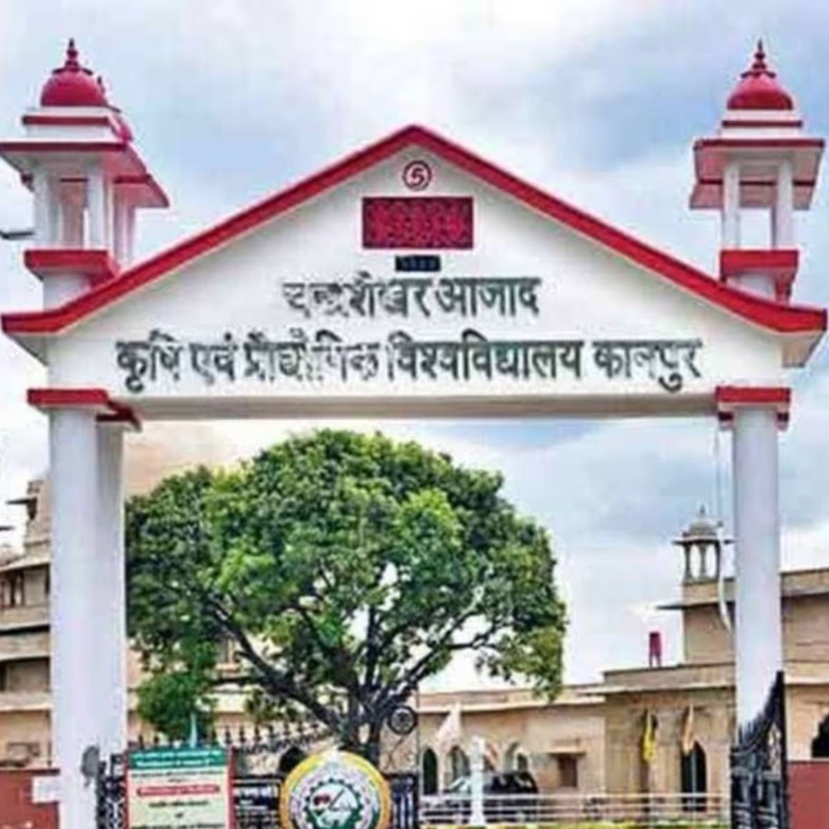 কানপুরের চন্দ্রশেখর আজাদ কৃষি ও প্রযুক্তি বিশ্ববিদ্যালয় (সিএসএ ইউআইটি) এর বিশেষজ্ঞরা এই পরামর্শ জারি করেছেন।