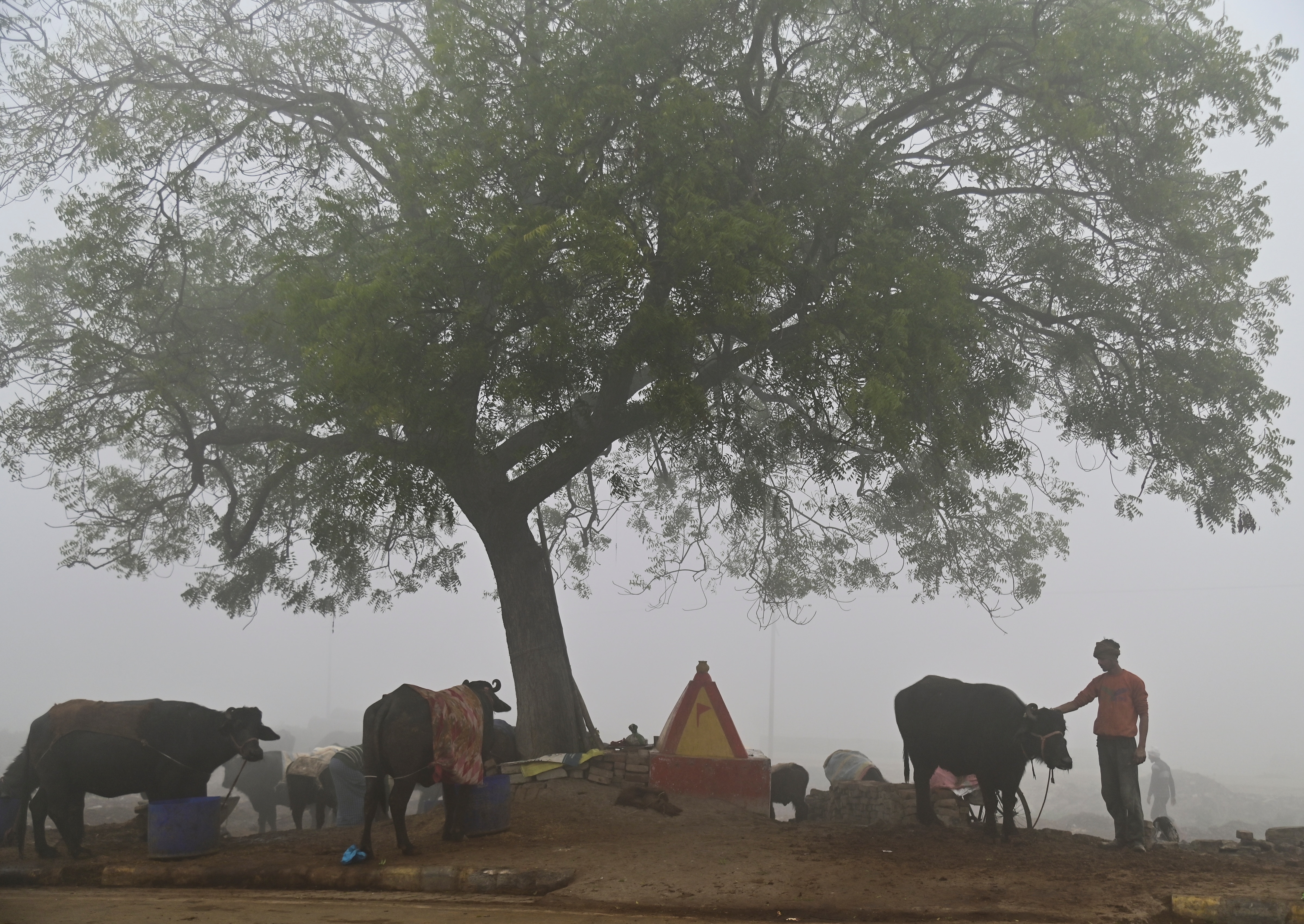 সর্বনিম্ন তাপমাত্রা স্বাভাবিকের চেয়ে নীচে সর্বনিম্ন তাপমাত্রা স্বাভাবিকের চেয়ে নীচে