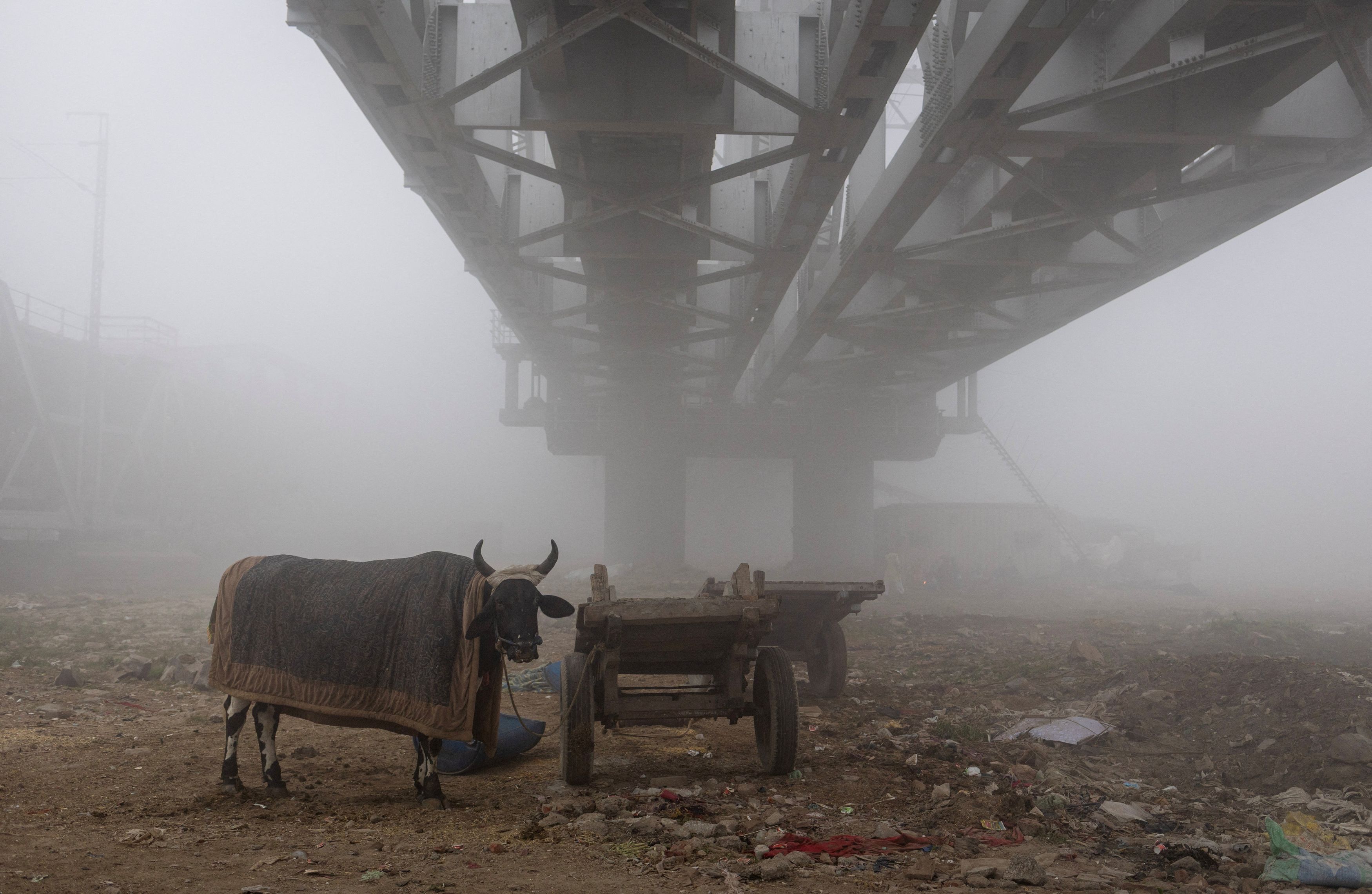 লাভবান হচ্ছেন চাষিরা লাভবান হচ্ছেন চাষিরা