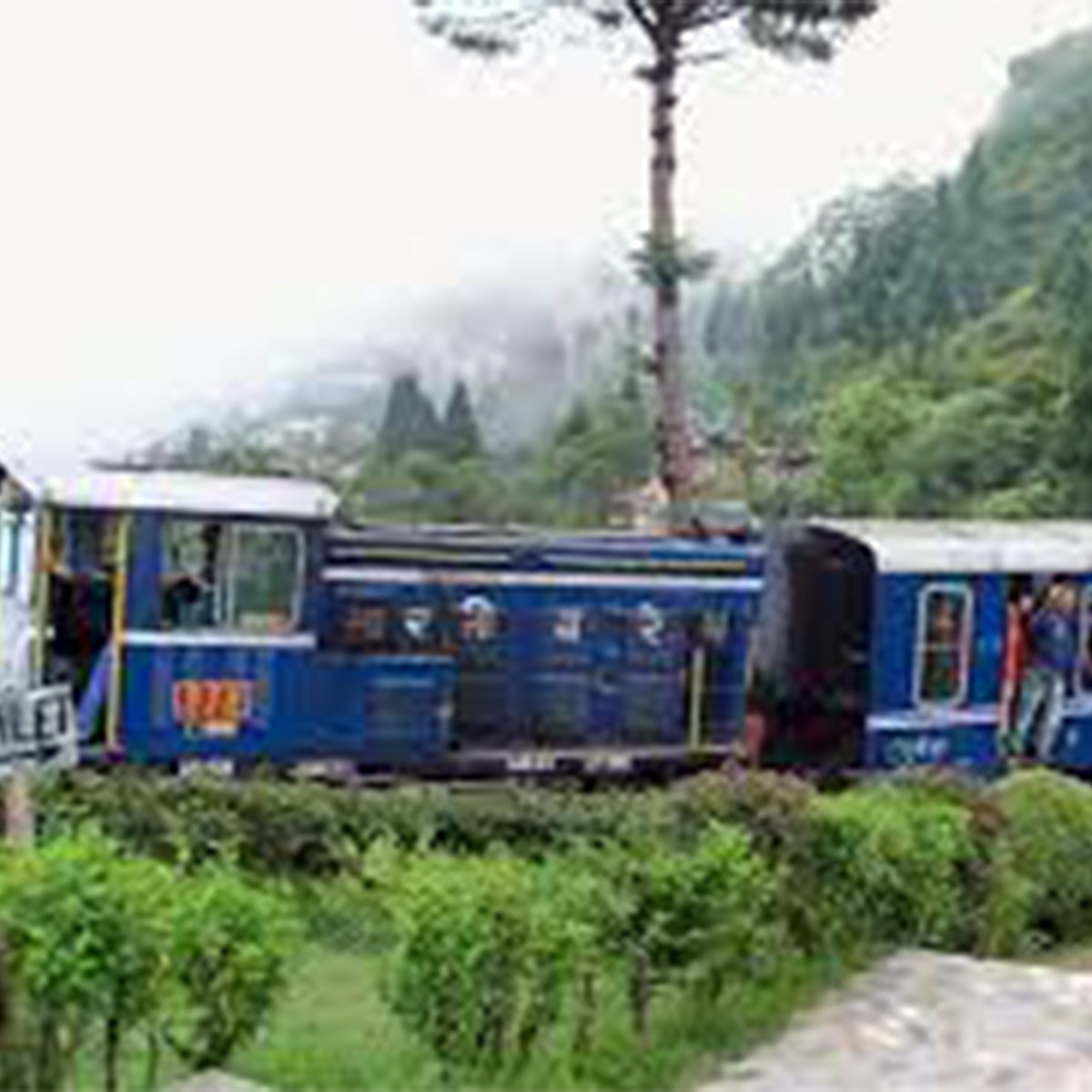 টয়ট্রেন