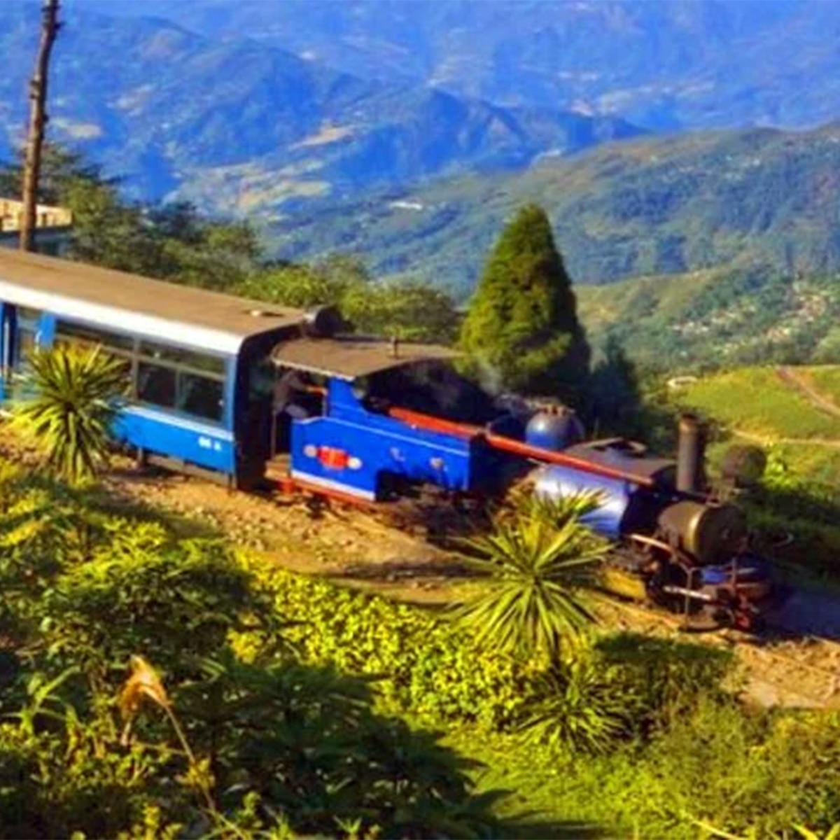 টয়ট্রেন