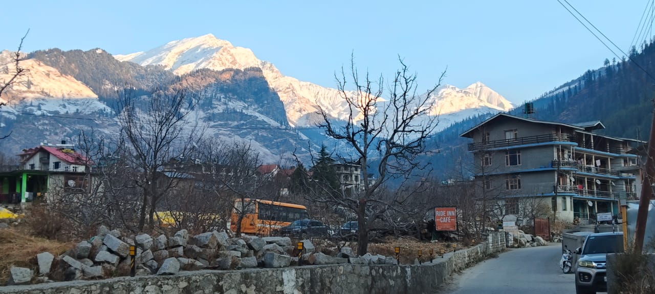 বেলা একটু বাড়তেই সোনালি রং উবে যাচ্ছে