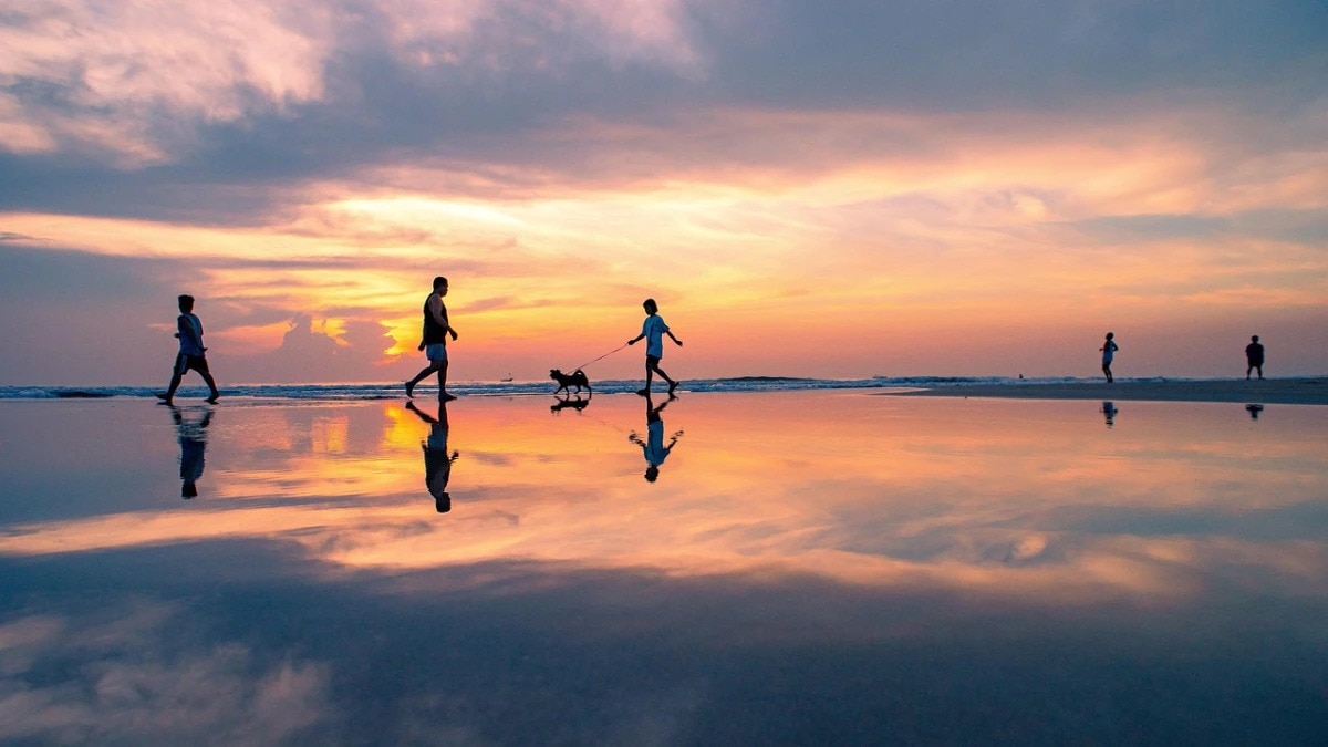 ভিয়েতনাম