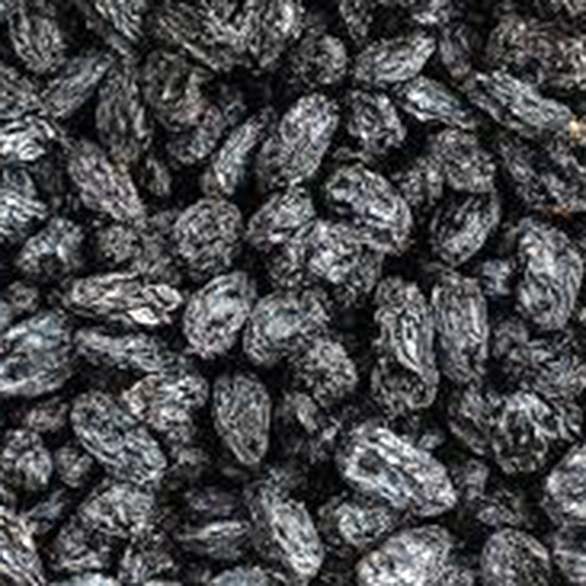 কালো কিশমিশ