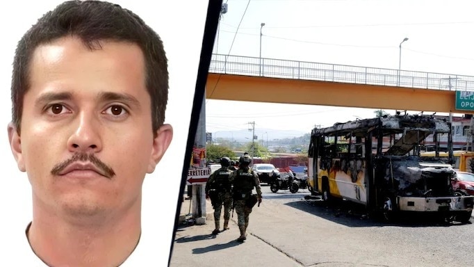 ভাইরাল আগুনের ছবি