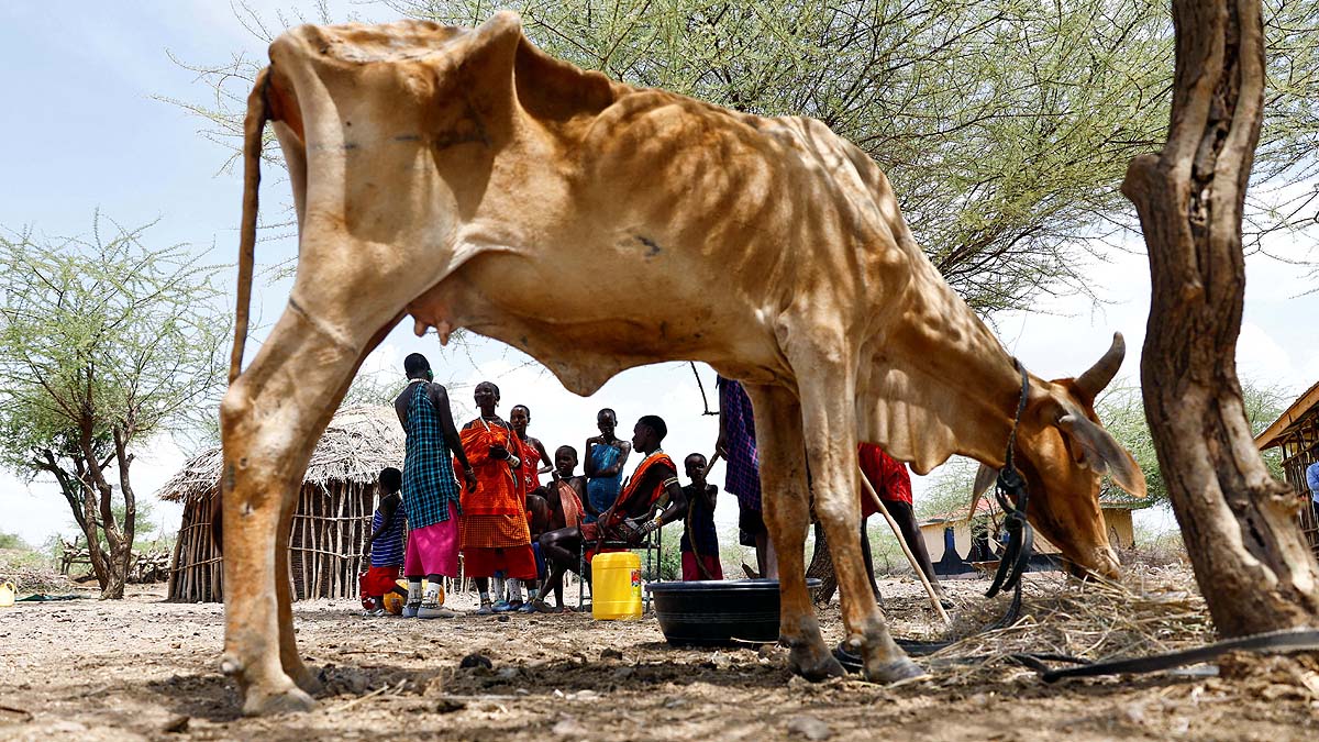 Kenya drought